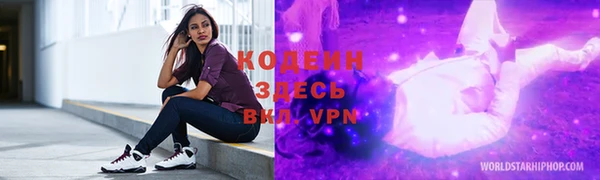 дурь Ельня
