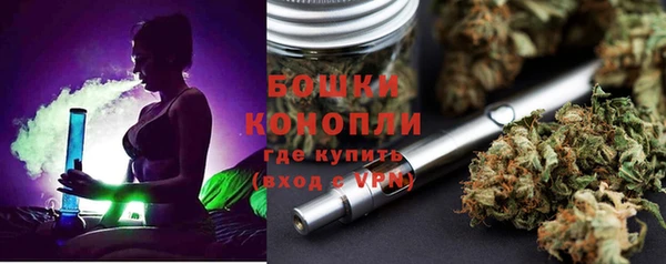 дурь Ельня