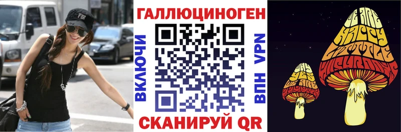 Галлюциногенные грибы Psilocybe  Купить где  Острогожск 